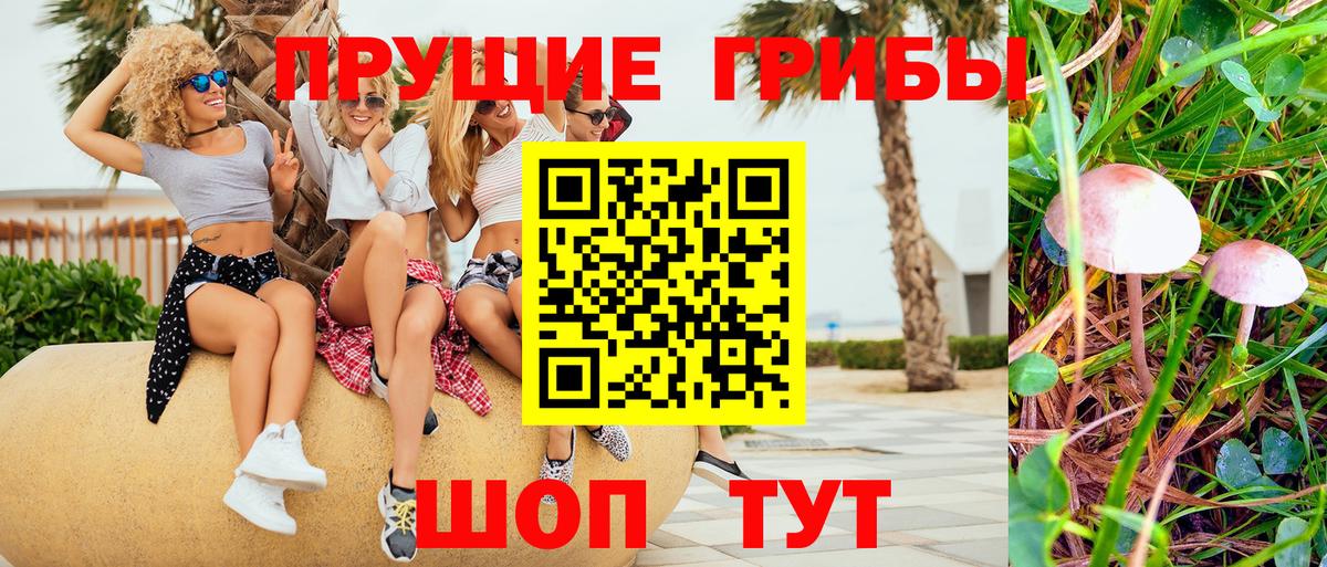 Галлюциногенные грибы мухоморы  Вход с VPN  Бугульма 